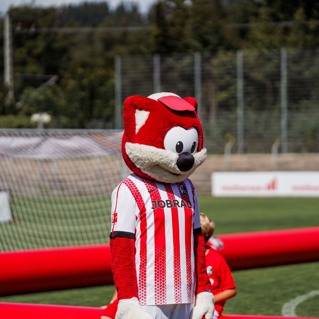 Füchsletag 2026 beim VfB