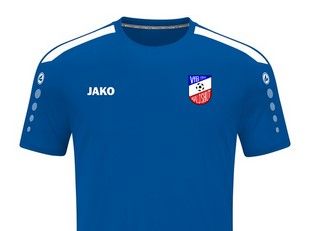 VfB-Teamsport-Jako