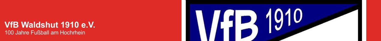 VfB-Logo-Website