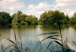 200909-ah-tauberg-250