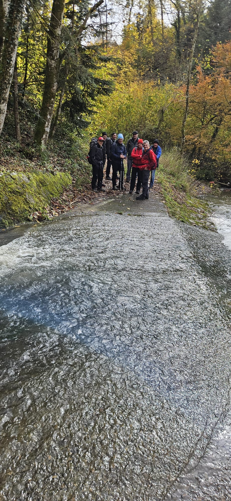 20251027 vfb ah wanderung riedern sonntag02