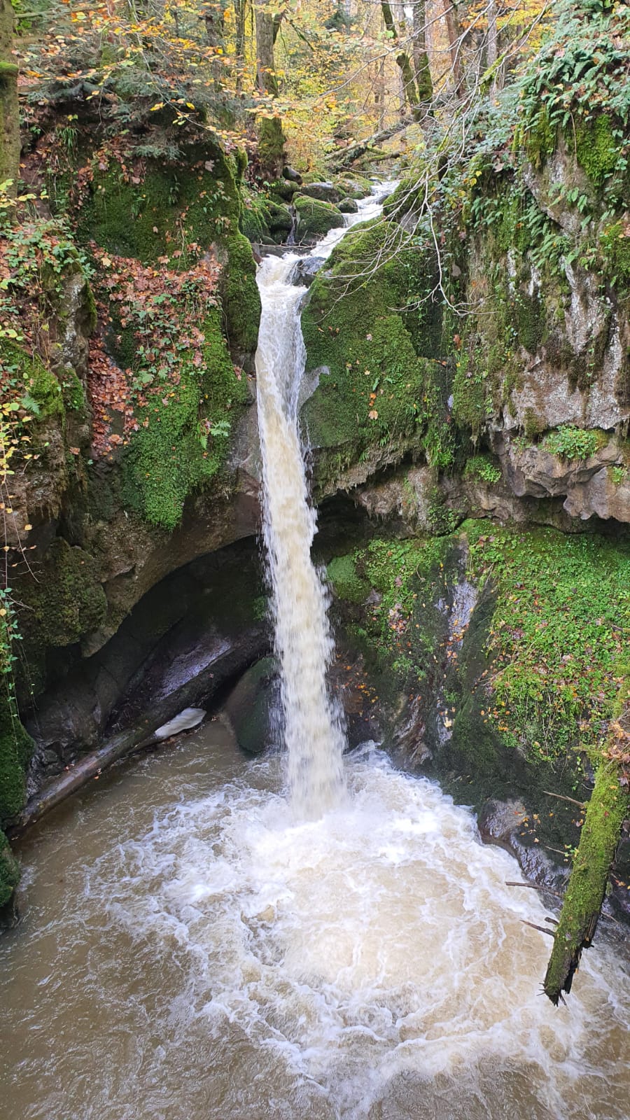 20251027 vfb ah wanderung riedern sonntag051