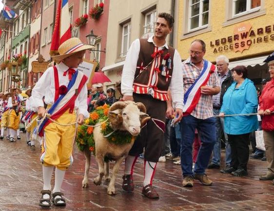 557. Waldshuter Chilbi