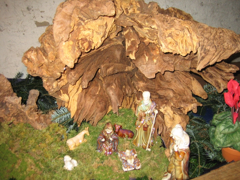 Mikro_024.jpg