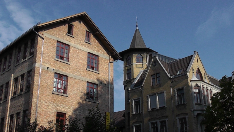 20090801_085345.jpg