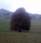 Dateiname=2015-10-18_12_08_18.jpg
Dateigröße=346KB
Abmessungen: 1725x1803
hinzugefügt am: 19. Oktober 2015 2015-10-18_12_08_18.jpg