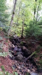 Dateiname=2016-10-08_11_45_11.jpg
Dateigröße=1182KB
Abmessungen: 1836x3264
hinzugefügt am: 12. Oktober 2016 2016-10-08_11_45_11.jpg
