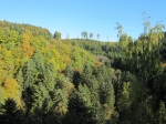 IMG_8600.JPG