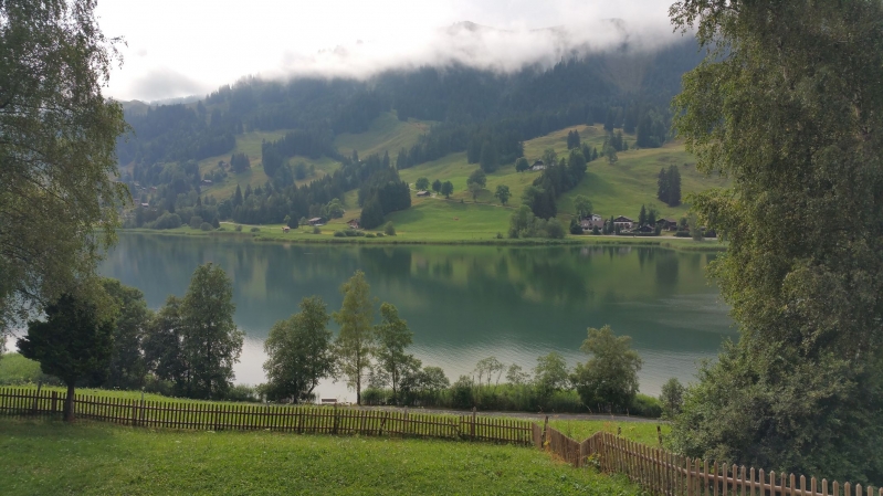 20190727_172758.jpg