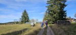 Dateiname=1000077207.jpg
Dateigröße=1160KB
Abmessungen: 3600x1663
hinzugefügt am: 30. Oktober 2024 1000077207.jpg
