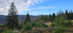 Dateiname=1000077822.jpg
Dateigröße=1138KB
Abmessungen: 3600x1663
hinzugefügt am: 30. Oktober 2024 1000077822.jpg