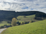 IMG_6847.JPEG