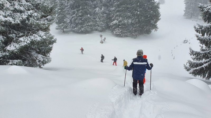 ....zur gleichen Zeit im Winterwunderland.
